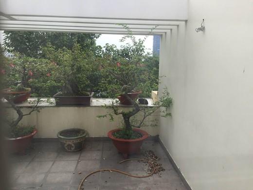 Villa for rent in Thao Dien Ward District 2 HCMC D2200645 (2)